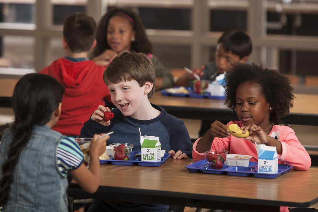 Kids School Lunch Ideas